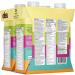 Else Nutrition Kids Complete Nutrition Drink for Ages 2+ with Essential Amino Acids Vitamins & Minerals Less Sugar Convenient Ready to Drink Vanilla 4 Pack Vanilla-4 pack 236 ml (Pack of 4) - Buy Online on GoSupps.com