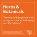 NOW Chlorella 1000 mg Tablets with Chlorophyll, Beta-Carotene, Vitamin C, Iron, and Protein - Buy Online on GoSupps.com
