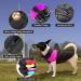 Shinmax Waterproof Winter Dog Coat - Warm Jacket for Small Medium & Large Dogs | Padded Vest with Breast Protection in 2XL Pink - Buy Online on GoSupps.com