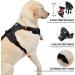 Nestroad XL Anti-Pull Dog Harness & Leash Set for Large Dogs - Adjustable Black Harness (Neck 43-64cm Chest 53-89cm) | Safety Belt Included - Buy Online on GoSupps.com