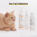 Breezytail PetOCera Cat Shampoo - Hypoallergenic Itch Relief & Coat Care | Veterinarian Formulated 10.1oz - Buy Online on GoSupps.com