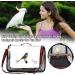 Pet Birds Bag Lightweight Bird Carrier PVC Transparent Travel Cage Foldable Ventilation Pet Bird Travel Backpack Breathable Bird Travel Cage Portable Travel Bird Cage with Perch Wooden Stick (red) - Buy Online on GoSupps.com