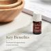 Buy Vetiver Essential Oil 5ml by Young Living | Grounding Nighttime Aroma | Calming Essential Oil for Kids | Focus & Awareness Support - Buy Online on GoSupps.com