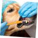 INOOMP 16 Pcs Pet Oral Toothbrush Dog Pp Dog Toothbrush and Toothpaste Dog Teeth Cleaning 1 count (Pack of 1) As Shownx2pcs - Buy Online on GoSupps.com