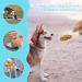 JOPHEK Portable Pet Drinking Bottle - 550ml Leak-Proof Water Bottle with 100ml Food Mug & Activated Carbon Filter for Dogs & Cats - Perfect for Walking & Travel - Buy Online on GoSupps.com