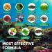 VVNATURALS Sugar-Free Chlorella Spirulina Seamoss Gummy - Immune, Detox & Joint Support | Keto-Friendly Alkaline Supplement for Women & Men | Non-GMO | Made in USA (60 Vegan Gummies) - Buy Online on GoSupps.com