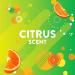 Scrubbing Bubbles Antibacterial Flushable Bathroom Wipes - Citrus Action 36 Wipes x 6 Packs - Buy Online on GoSupps.com