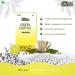 Green Coffee 100% natural - Lemon Flavor - 30 Sachets - Buy Online on GoSupps.com