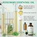 EVOKE OCCU Rosemary Essential Oil and Thyme Essential Oil - 4 Fl Oz - Buy Online on GoSupps.com