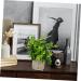 TOPBATHY Home Decor 5 Pcs Simulated Potted Plant Small Pulp Potted Plants Eucalyptus Small Greenery Decor As Shownx5pcs 22x8cmx5pcs - Buy Online on GoSupps.com