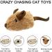 2 Pack Interactive Cat Toys - Feather Squeaky Bird & Mouse Kitten Plush Toys - Motion Activated Melody Chaser - Ideal for Indoor Cats - Three Dogs & A Cat - Buy Online on GoSupps.com