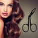 YEEPSYS Eyebrow Scissors Tweezers Set - Straight Tip Tweezers Clip with Scissors Handle - Beard, Nose Hair, and Eyebrow Plucker Remover for Men & Women - Black (3 Pcs) - Buy Online on GoSupps.com