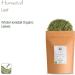 Horsetail Organic Herbal Leaf Tea 100g - Ancient Greek Remedy Equisetum Grass - Snakegrass Puzzlegrass - Buy Online on GoSupps.com