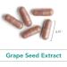 Nutricology Grape Pips - Grape Seed Extract Proanthocyanidins Polyphenols Herbal Supplement Organic 300mg Capsules - 90 Count - Buy Online on GoSupps.com
