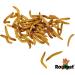 Rodipet Mealworm Protein Snack 70g - High-Quality International Shipping for Pets - Buy Online on GoSupps.com