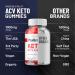 (2 Pack) Platinum Keto ACV Gummies - Advanced Formula Platinum Keto Plus ACV Gummies Apple Cider Vinegar Platinum ACV Gummies Dietary Supplement Reviews Men Women (120 Gummies) - Buy Online on GoSupps.com