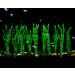 Artificial Seaweed Water Plants for Aquarium - 10 PCS Green Plastic Fish Tank Decor - Buy Online on GoSupps.com