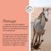 Annimally Electrolyte Liquid for Horses 1000ml - Sugar-Free Electrolyte Formula with Sodium Potassium Calcium Magnesium & Vitamin B - Buy Online on GoSupps.com
