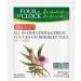 Four O'Clock Herbalist All-In-One Cold & Cough Day Herbal Tea Non GMO Project Kosher Gluten-Free 6 packs of 20 Teabags - Buy Online on GoSupps.com