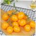 Ciieeo Simulated Small Tomatoes Models Fruit Photo Prop Faux Cherry Tomatoes Ornament Lifelike Fruit Fake Cherry Tomatoes for Decor Home Fruit Ornament Artificial Foam Fake Fruit Yellow 4.00X2.00X2.00CM - Buy Online on GoSupps.com