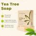 Hemp Soap Bar Variety 3 Pack - Tea Tree, Lavender, Eucalyptus - 5 oz Bars - Moisturizing Cleansing Soap with Natural Ingredients - Made in USA - Buy Online on GoSupps.com