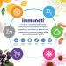 Immuneti Advanced Immune Defense - 60 Vegetarian Capsules for Enhanced Immunity - Buy Online on GoSupps.com