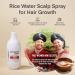 ProBliva Rice Water Hair Growth Serum with Biotin & Caffeine 1.70 Fl Oz - Hair Loss Treatment for Women - Buy Online on GoSupps.com