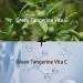 Green Tangerine Vita C Dark Spot Serum | Vitamin C Face Serum with Hyaluronic Acid & Vitamin E | Anti-Aging & Anti-Wrinkle - 1.01 fl oz - Buy Online on GoSupps.com