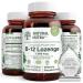 Natural Nutra Vitamin B12 Supplement Helps to Increase Energy Levels Essential for Healthy Nervous System Helps to Improve Mood & Mental Health Supports Cardiovascular System 100 Lozenges 100 Count (Pack of 1)
