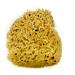 Medium Sea Sponge Unbleached Honeycomb Natural Seasponge with Flat Side - for Bath Use or Art and Painting use (Size 12-14 cm)