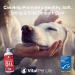 Salmon Oil for Dogs & Cats 32oz - Omega 3 EPA DHA Liquid Supplement | Healthy Skin, Coat, Joint & Bone Health | Natural Allergy & Immune Support - Buy Online on GoSupps.com