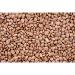 Buy Organic Quail & Pinto Beans - Gourmet Quality Dried Whole Beans (400g) | Natural Protein Boost for Healthy Living - Buy Online on GoSupps.com
