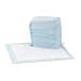 Amazon Basics Dog and Puppy Pads, Leak-proof 5-Layer Pee Pads with Quick-dry Surface for Potty Training 100 Count Regular Standard