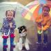 Petcute Waterproof Dog Rain Jacket - Windproof Coat with Reflective Stripes for Small Medium & Large Dogs - Adjustable with Hood - S Gray - Buy Online on GoSupps.com