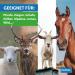 Imima Mineral Salt Lick Stones for Horses Goats & Cattle - 4 x 3kg Probiotic Mineral Lick Set | 12kg Total - Buy Online on GoSupps.com