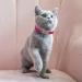 Shop Cobee Bling Heart Cat Neck Band with Bell | Adjustable Rhinestone Collar for Small Cats & Dogs (Rose Red) - International Shipping Available - Buy Online on GoSupps.com