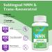 Sublingual NMN 500mg + Trans-Resveratrol 99% Purity Supplement - 3-in-1 Advanced Formula for NAD+ Boost, Anti-Aging, Immune Support - 120 Lozenges - Buy Online on GoSupps.com