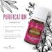 Young Living Purification Essential Oil Blend - 5 ml - 6 Unique Oils Formula - Buy Online on GoSupps.com