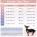 Kuoser Dog Recovery Suit - Breathable Post-Op Body for Male & Female Dogs Anti-Wound Support E-Collar Alternative in Orange & Blue - Buy Online on GoSupps.com