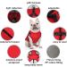 Luowan Waterproof Dog Coat for French Bulldogs - Warm Vest & Dog Jacket for Small Dogs | Available in Various Sizes (S Blue) - Buy Online on GoSupps.com