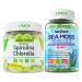 Nextdia Bundle: Spirulina Chlorella Gummies 1 Pack & Sea Moss Gummies 2 Pack