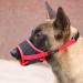 Adjustable Red Dog Muzzle with Velcro Fastener | Breathable Mesh for Safe Barking & Chewing | Buy Internationally - Buy Online on GoSupps.com