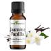 Jasmine Vanilla 10ml (0.35fl oz) Premium Fragrance Oil Aromatherapy Diffuser Crafts Soap Home Scents Bath & Body DIY Parfum and Much More. Versatile & Long-Lasting by Sweet Essentials