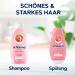  Schauma Schauma Schwarzkopf Nutri Brillance Repairing Shampoo (5 x 400 ml) Shampoo for Repairing and Intensely Regenerating Damaged Hair Repair Shampoo with Strawberry Extract and - Buy Online on GoSupps.com