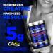 ALLMAX Nutrition - Creatine Powder - 100% Pure Micronized Creatine Monohydrate - Pharmaceutical Grade Creatine - 100 Gram - Buy Online on GoSupps.com