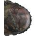 Rocky Men's Sport Pro Hiking Boot 14 Wide - Mossy Oak Break Up Country - Buy Online on GoSupps.com