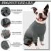 Kuoser Dog Recovery Suit - Medical Body for Dogs After Surgery Anti-Licking Wound Protection Pajamas Alternative (M Gray) - Buy Online on GoSupps.com