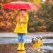 FUAMEY Dog Rain Coat | Lightweight Waterproof Rain Jacket with Transparent Brim | Reflective Dog Rain Poncho | Leash Hole | Yellow Slicker Raincoat for Small Medium Dogs Cats | Large Breed (14-23lb) - Buy Online on GoSupps.com