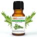 Rosemary Oil Organic Essential Oil 100% Pure 30 ml - Aromatherapy Cosmetic Therapeutic - Laboratory Organic Rosemary 30 ml (Pack of 1)