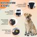 Eyin Dog Shoes - Breathable Non-Slip Paw Protection for All Dog Sizes | Size 6 Gray Perfect for Outdoor Sports (2 Pieces) - Buy Online on GoSupps.com